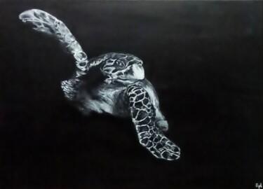 Tortue marine